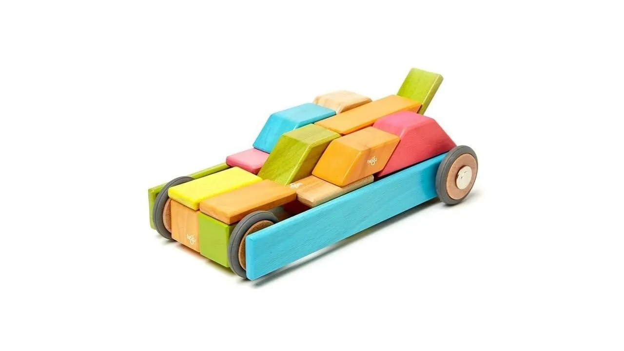 42-Piece Magnetic Toy Set