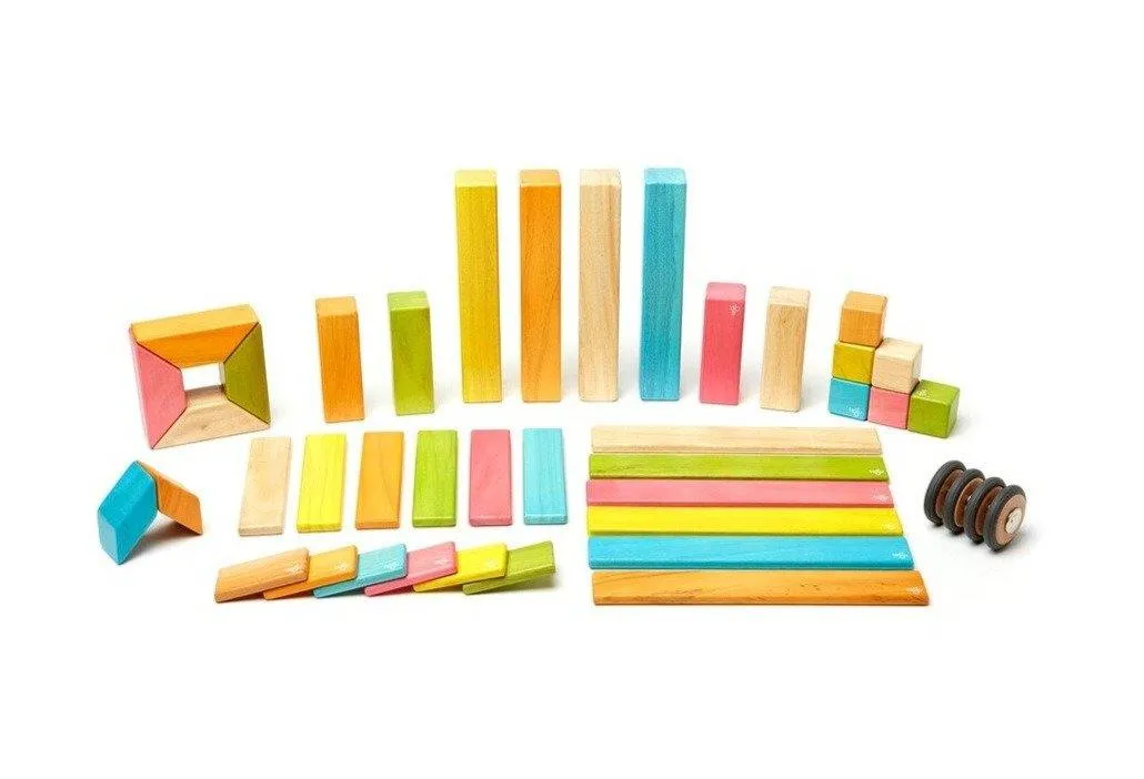 42-Piece Magnetic Toy Set