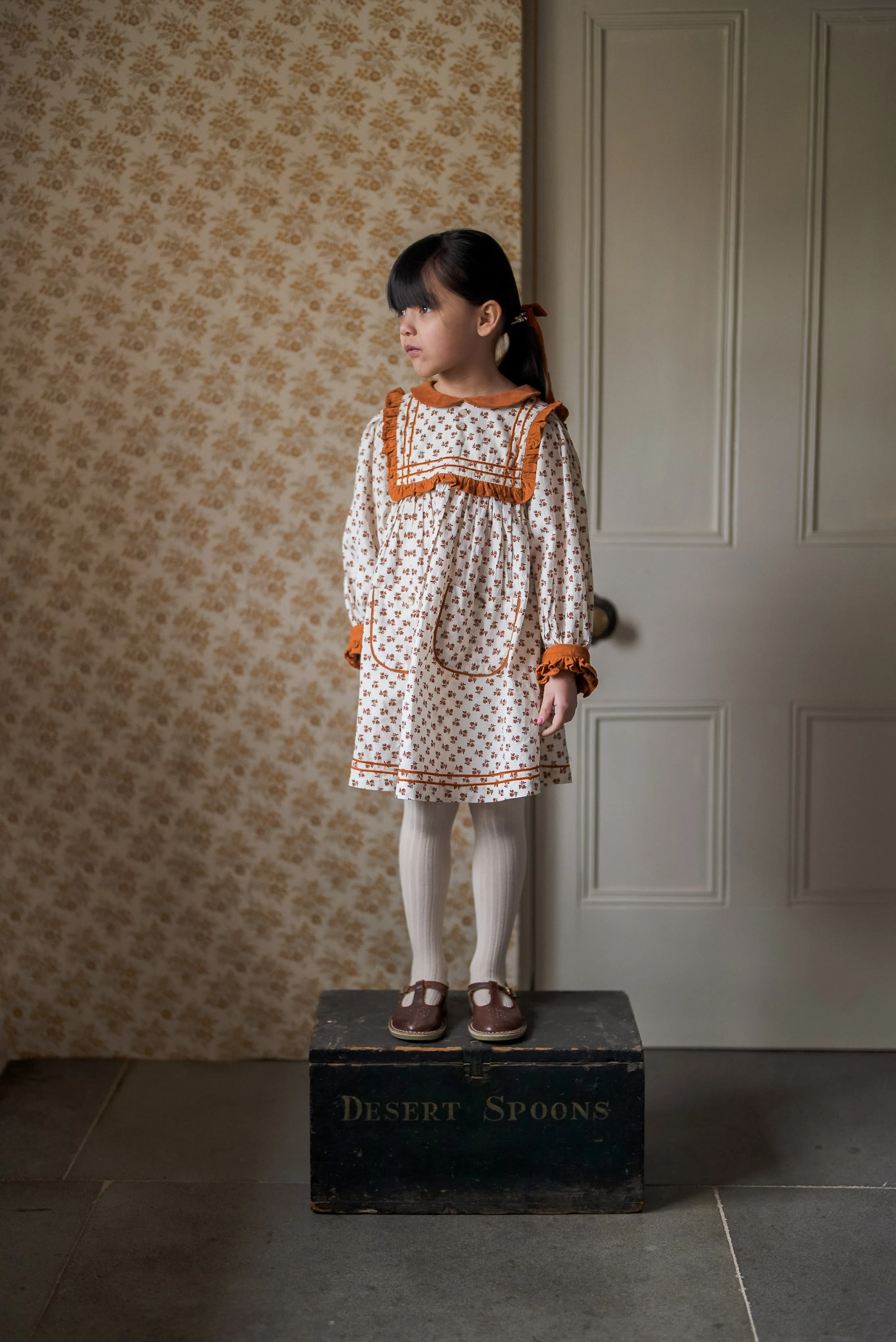 Maria Dress in Abberley Floral