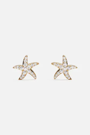 Sea Star Stud Earrings